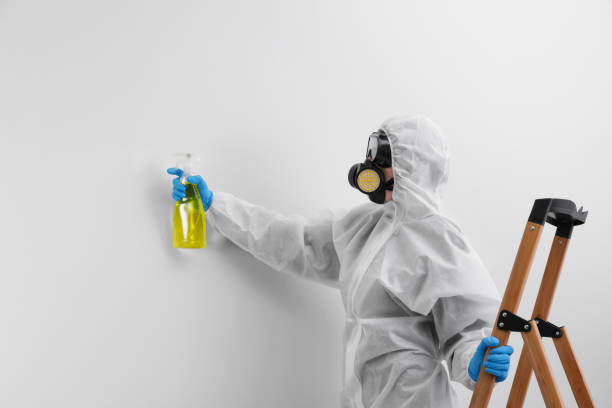 Best Forensic Mold Investigation  in Tularosa, NM